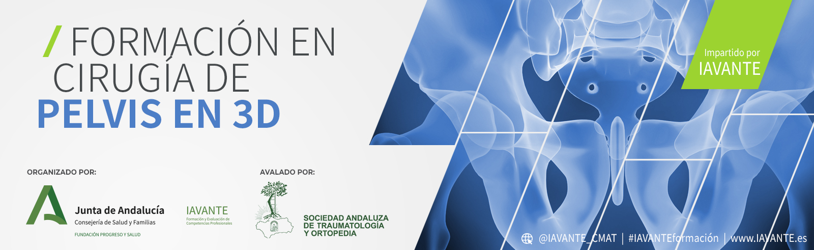 Cursos Cirugía Pelvis 3D