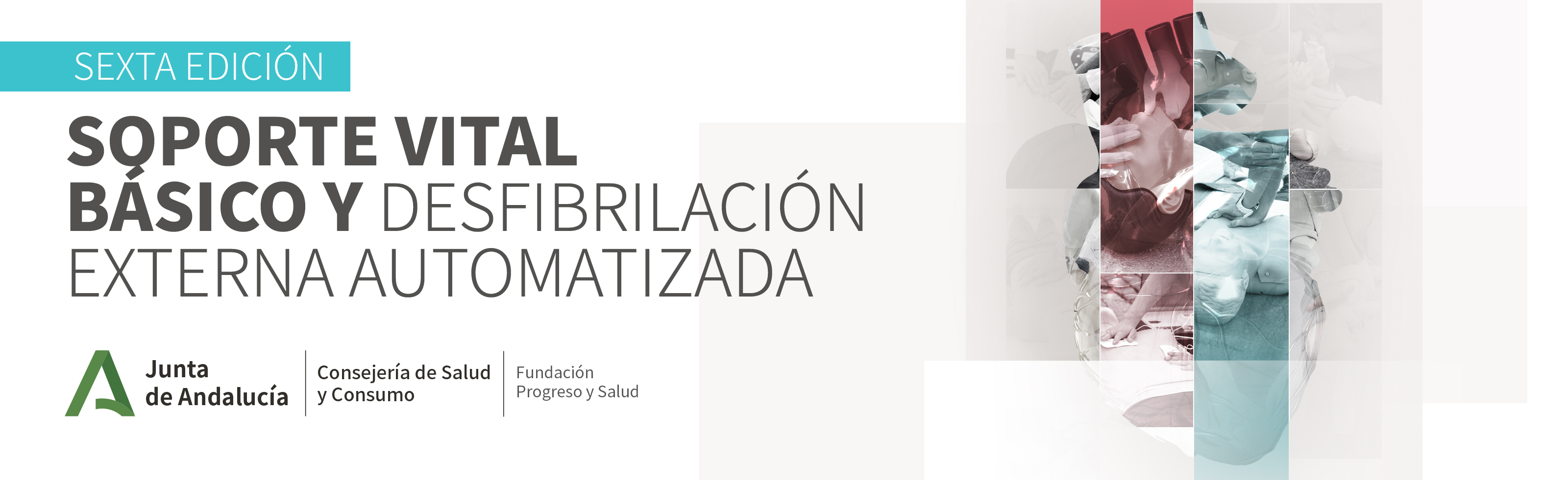 Manual SVB y DEA_Edición6