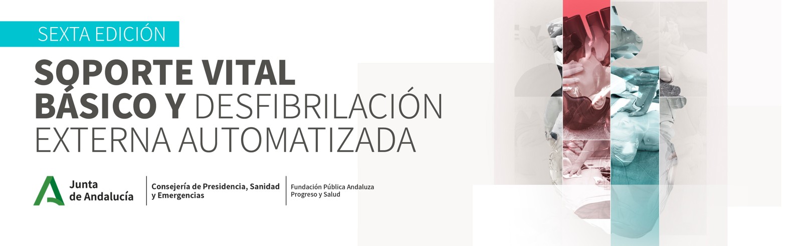 Manual SVB y DEA_Edición 6